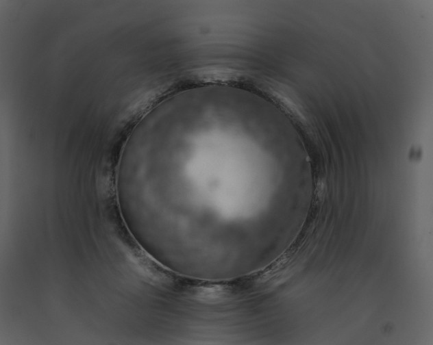 X0000092260411200710051323