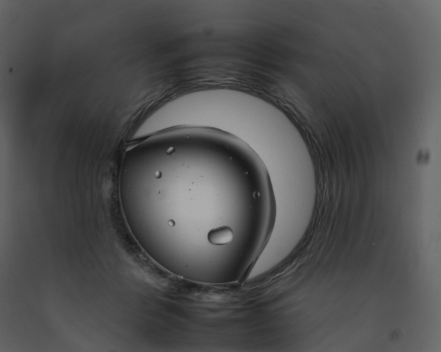 X0000092260412200710051323