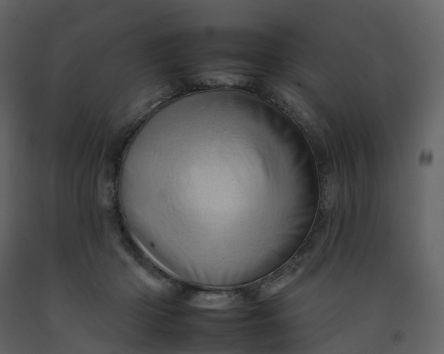 X0000092260414200710051323