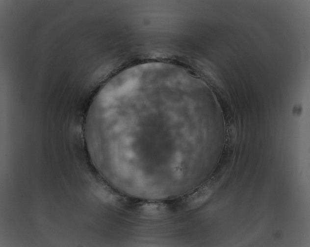 X0000092260415200710051323