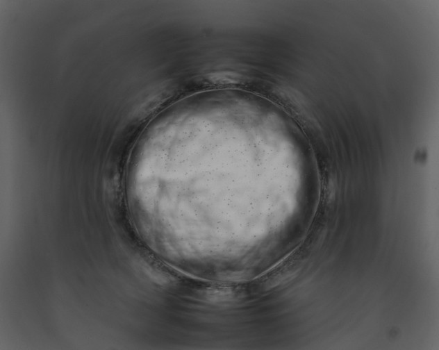 X0000092260418200710051323