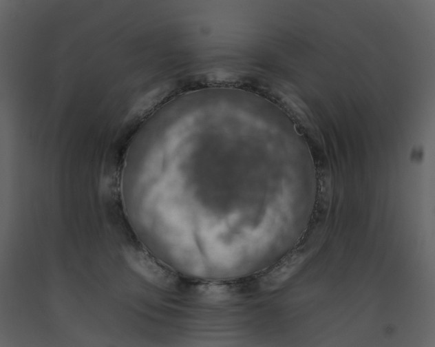 X0000092260419200710051323