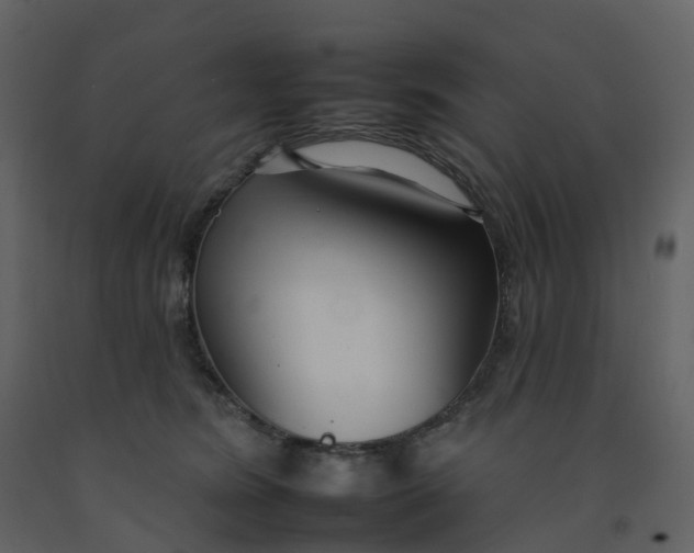 X0000092260420200710051323