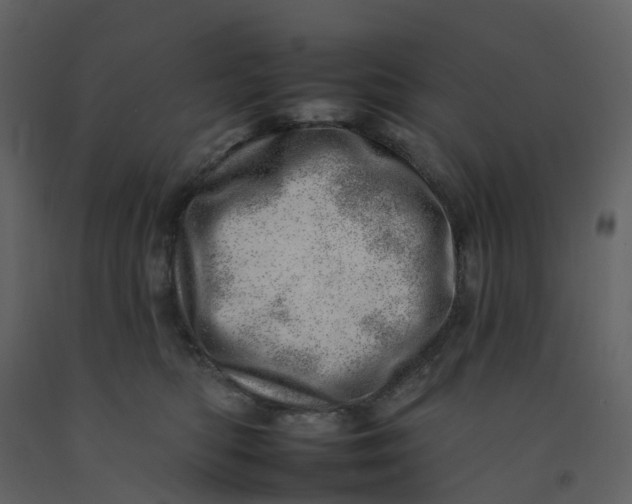 X0000092260422200710051323