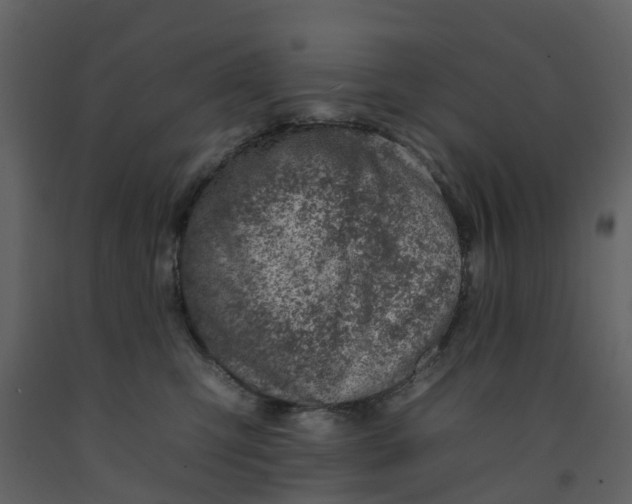 X0000092260423200710051323