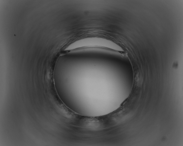 X0000092260424200710051323