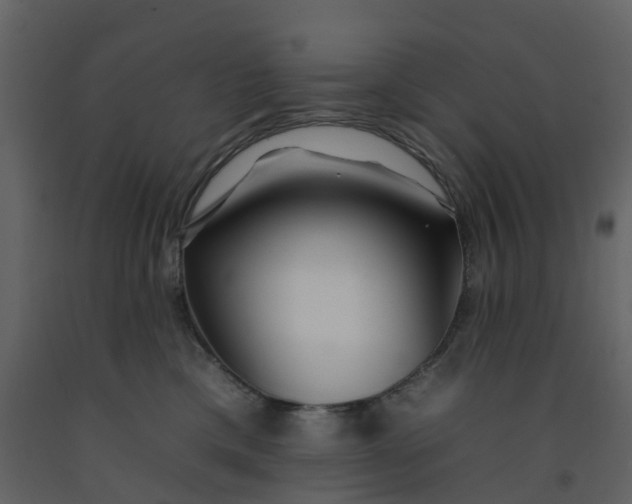 X0000092260425200710051323