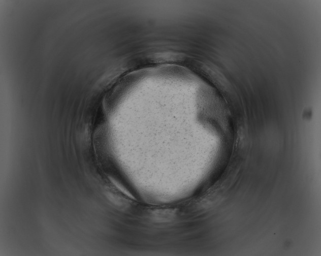 X0000092260426200710051323