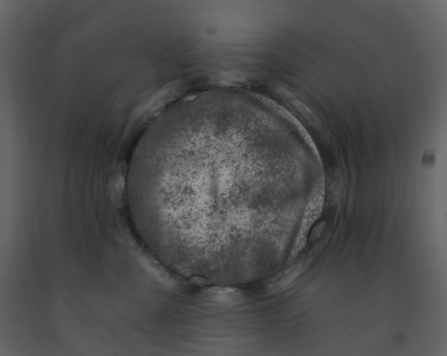 X0000092260427200710051323