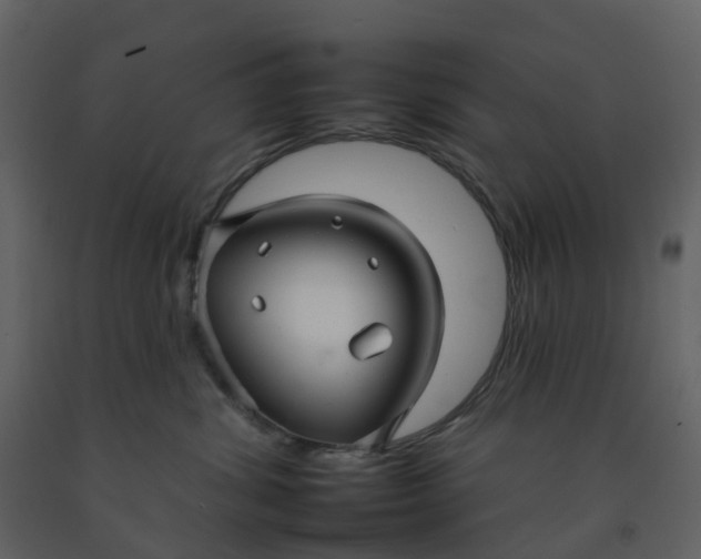 X0000092260428200710051323