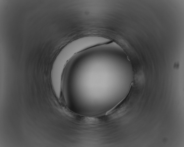 X0000092260429200710051323