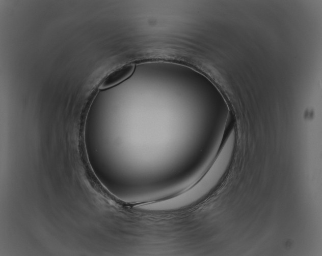 X0000092260434200710051322