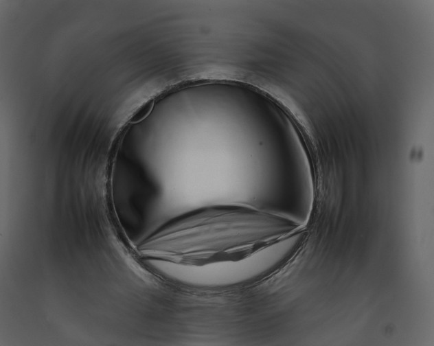 X0000092260437200710051322