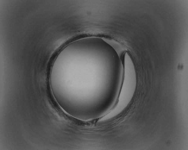 X0000092260440200710051322