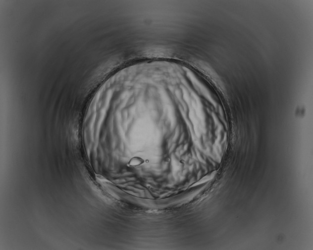 X0000092260441200710051322