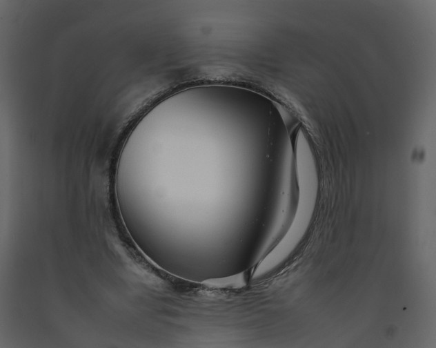 X0000092260442200710051322