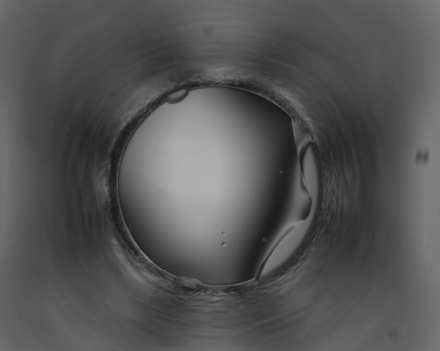 X0000092260443200710051322