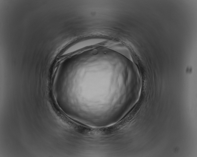 X0000092260444200710051322