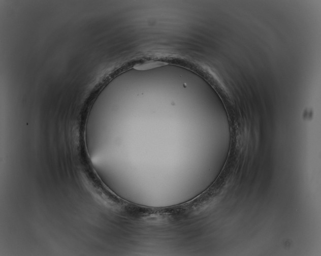 X0000092260447200710051322