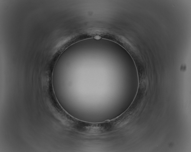 X0000092260448200710051322