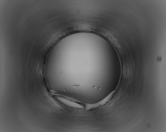 X0000092260449200710051322