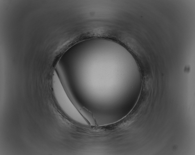 X0000092260450200710051322