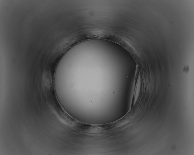 X0000092260459200710051322