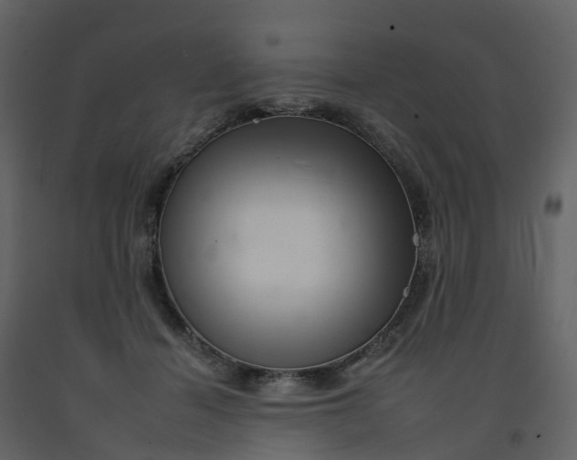 X0000092260460200710051322