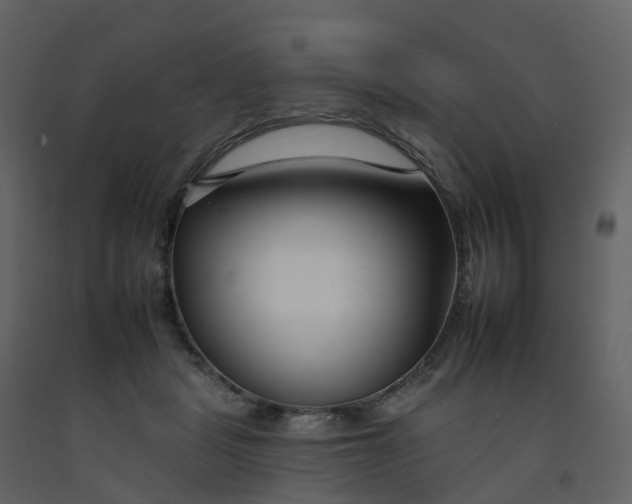 X0000092260461200710051322