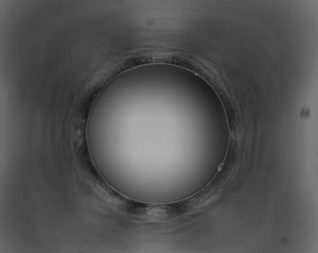 X0000092260462200710051323