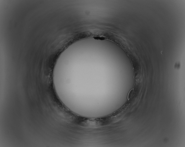 X0000092260464200710051323