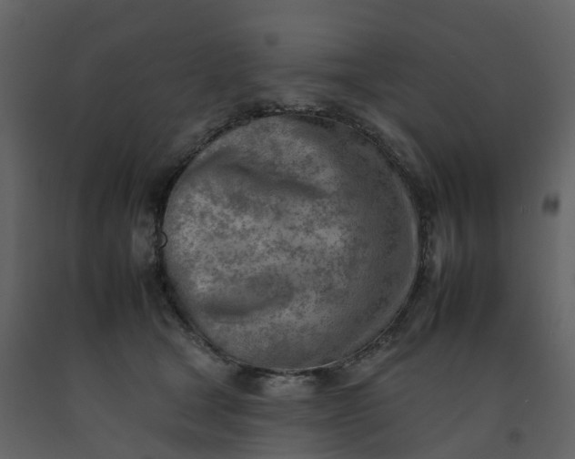 X0000092260465200710051323