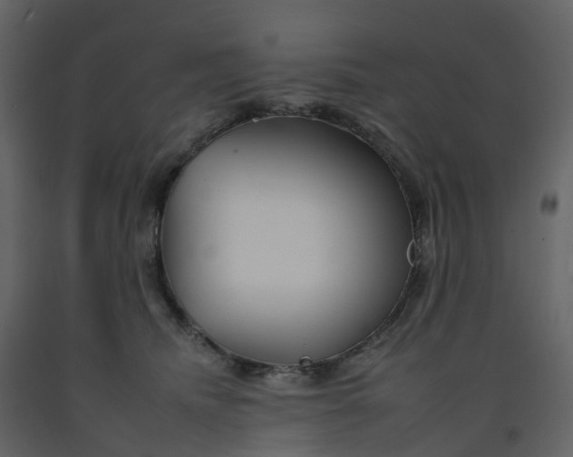 X0000092260468200710051323