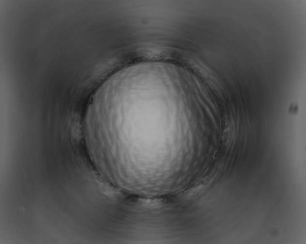 X0000092260469200710051323