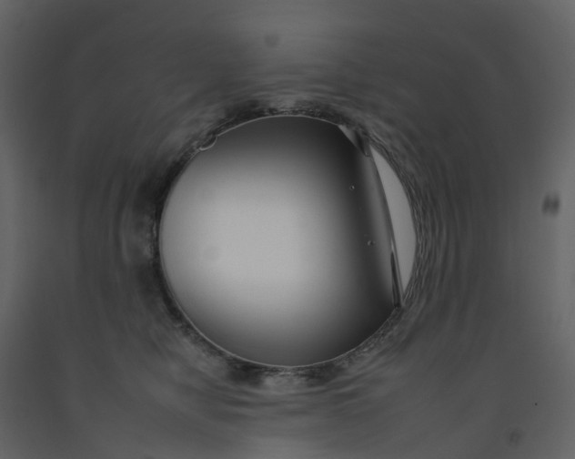 X0000092260470200710051323