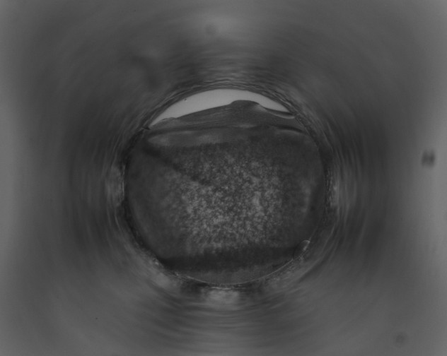 X0000092260471200710051323