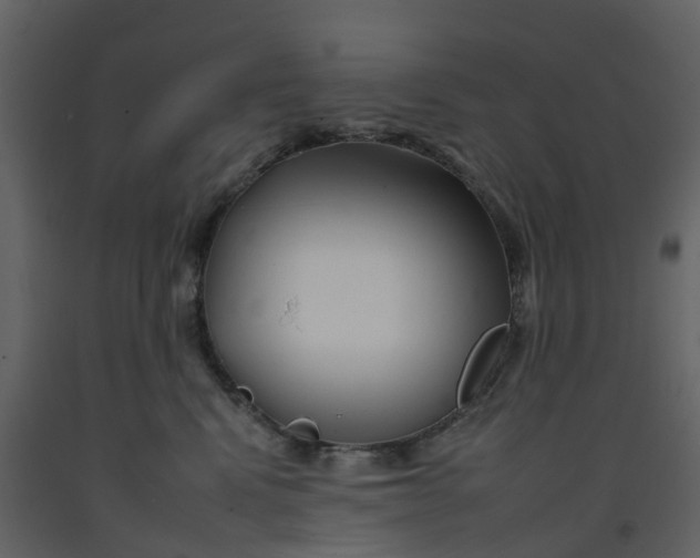 X0000092260472200710051323