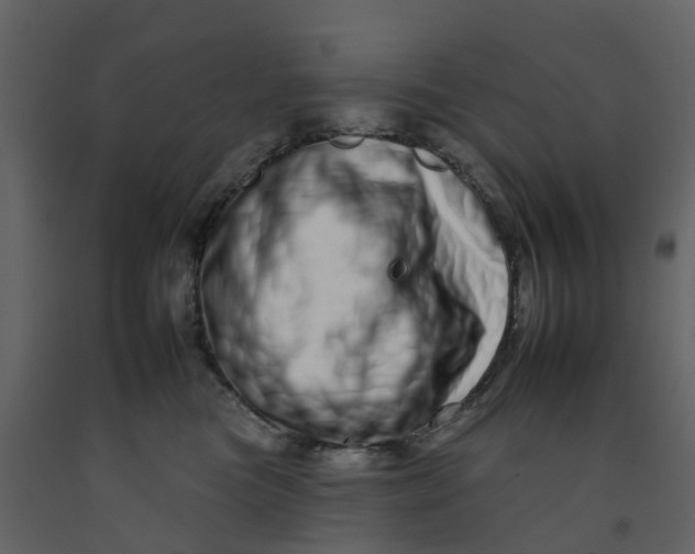 X0000092260473200710051323