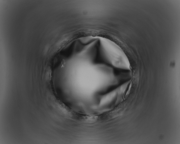 X0000092260474200710051323