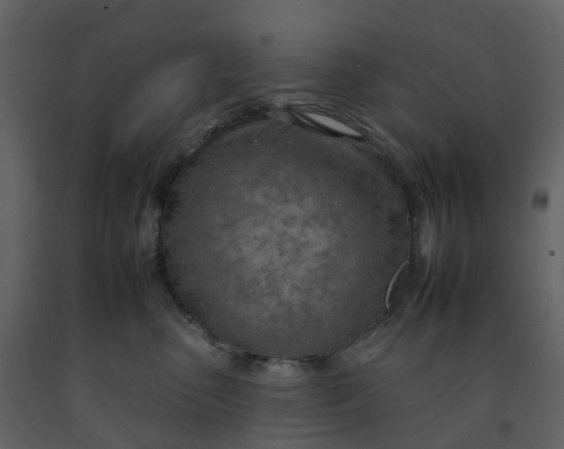 X0000092260475200710051323