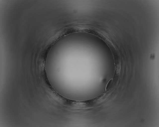 X0000092260476200710051323