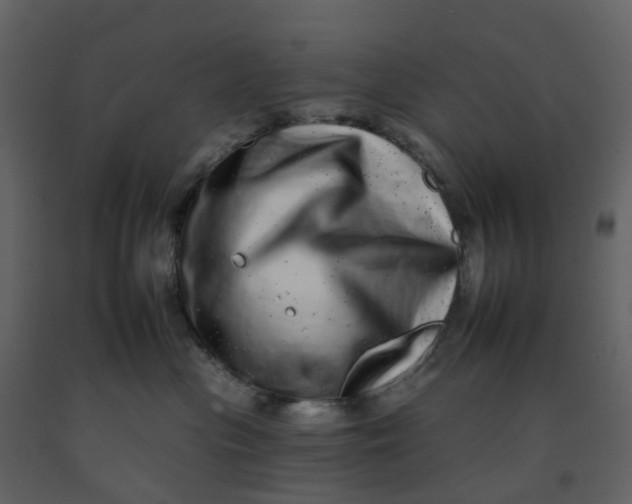 X0000092260477200710051323