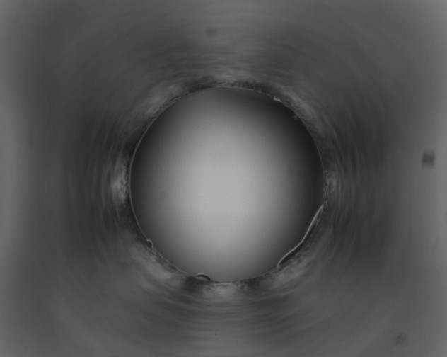 X0000092260479200710051323