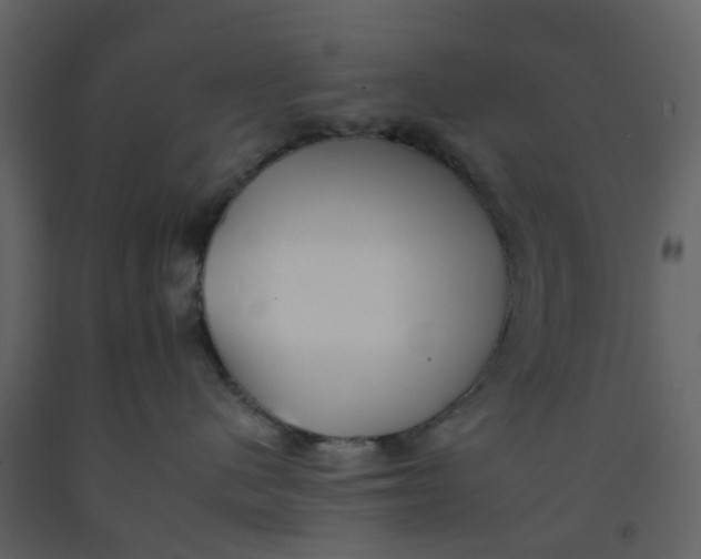 X0000092260480200710051323