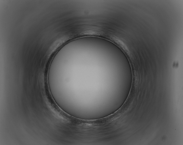 X0000092260482200710051322