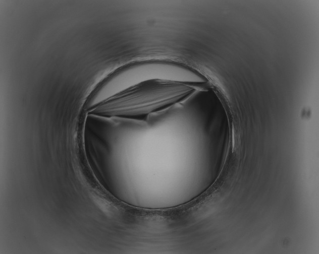 X0000092260483200710051322