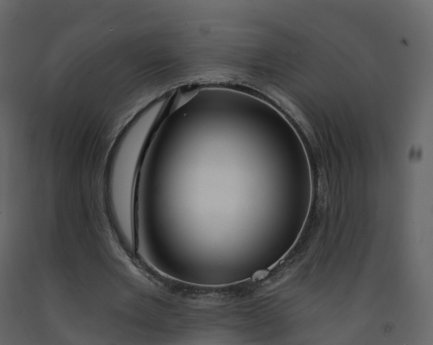 X0000092260485200710051322