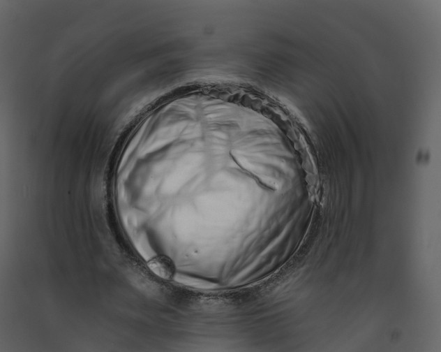 X0000092260487200710051322