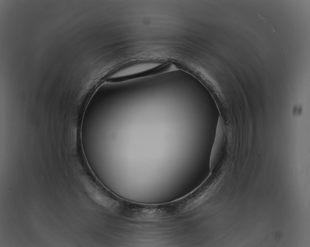 X0000092260493200710051322