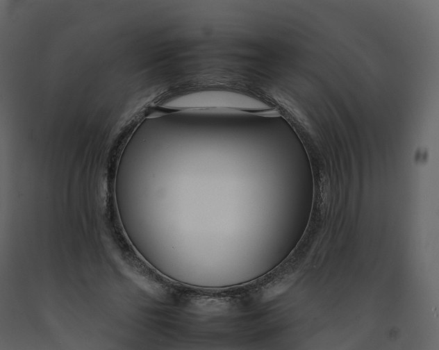 X0000092260494200710051322